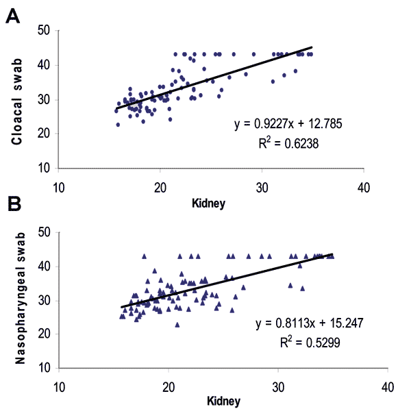 Linear regression plots of avian kidney CT values versus A) cloacal and B) nasopharyngeal CT values using the linear regression model Y´i = bX´i + a.