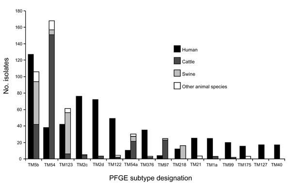 Frequency of pulsed-field gel electrophoresis (PFGE) subtypes that occurred &gt;15 times among clinical human or animal Salmonella enterica serovar Typhimurium isolates in Minnesota, 1997–2003. Subtypes TM5b, TM123, and TM218 are part of clonal group A (subtypes &lt;3 bands different from subtype TM5b). Subtypes TM54, TM54a, and TM97 are part of clonal group B (subtypes &lt;3 bands different from subtype TM54).