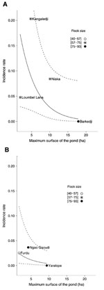 Thumbnail of Serologic incidence rate of Rift Valley fever in small ruminants (N = 610), according to the location of the pond (A, in Ferlo River bed; B, outside Ferlo River bed) and its maximum surface during the 2003 rainy season in the Barkedji area, Senegal. Points indicate observed pond-level serologic incidence. Solid line indicates population mean of the serologic incidence estimated with the best Bayesian information criterion mixed-effect logistic regression model. Dashed lines indicate