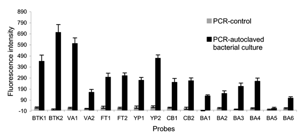 Array detection of single polymerase chain reaction (PCR) products from autoclaved bacterial cultures of the 6 microorganisms listed in Table A3 by using single bead–type arrays. PCR and array hybridization conditions are described in the Appendix. Single bead–type arrays were fabricated containing ≈100 replicates of each microsphere probe. The standard deviation (SD) of background images is 15 (N = 3), and the detection limit is 45, defined as 3 × SD.