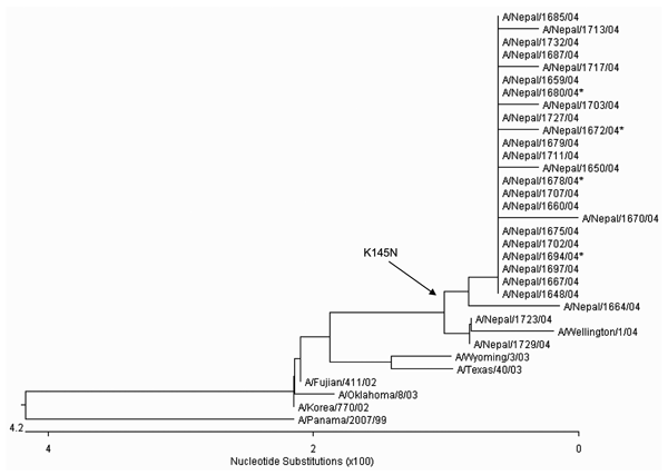 Unrooted phylogenetic analysis of HA1 hemagglutinin nucleotide sequences from 26 Nepal isolates and H3N2 vaccine and reference strains. The Nepal isolates have drifted from the 2004–2005 A/Fujian/411/03 vaccine strain (and A/Wyoming/03/03 vaccine seed strain) and are genetically equivalent to A/California/7/04, the 2005–2006 Northern Hemisphere vaccine strain. A K145N substitution (branch point indicated by the arrow) was observed in 24 of 26 Nepal isolates and represents a genetic marker for th