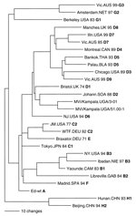 Thumbnail of Phylogenetic analysis of sequences of hemagglutinin genes of wildtype measles viruses isolated in Uganda during 2000–2002. The unrooted tree shows sequences from the Ugandan viruses compared with World Health Organization reference strains for each genotype. Genotype designation is in bold.