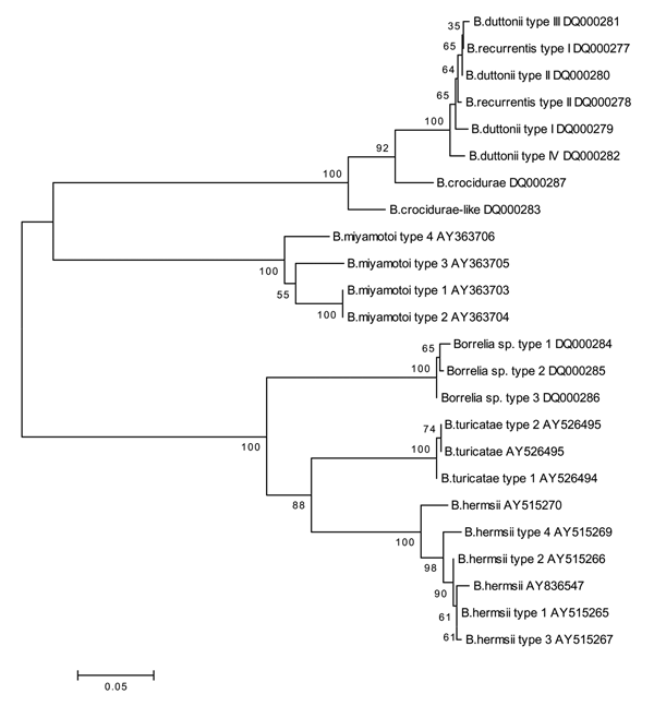Neighbor-joining phylogenetic tree (bootstrap value 250) showing clustering of intergenic spacer (IGS) fragment generated within this study and compared with IGS downloaded from GenBank. Accession nos. DQ000277–DQ000287 were determined in this study.
