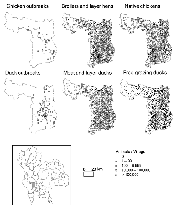 Distribution of highly pathogenic avian influenza (HPAI) outbreaks in chickens and ducks, Thailand, July 3, 2004–May 5, 2005, and respective distribution of broilers and layers hens, native chicken, meat and layer ducks, and free-grazing duck populations.