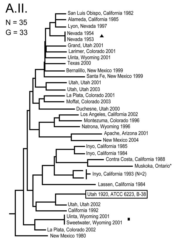 Genetic relationships among 35 North American Francisella tularensis subsp. tularensis A.II. subpopulation isolates based upon allelic differences at 24 variable number tandem repeat (VNTR) markers. County, state, and year of isolation are specified to the right of each branch or clade. G indicates number of distinct VNTR marker genotypes, triangle indicates epidemiologically linked isolate, asterisk indicates isolate with an unknown year of isolation, boxed designation indicates F. tularensis t