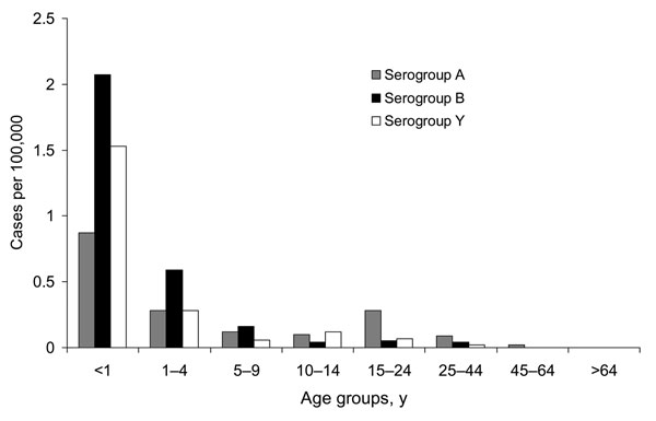 Annual age-specific incidence rates for confirmed serogroup A, B, and Y meningococcal disease in South Africa, as reported from August 2001 through July 2002.