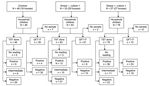 Thumbnail of Flow chart of the study participants. TST, tuberculin skin test; QFT-IT, QuantiFERON Gold in Tube test.