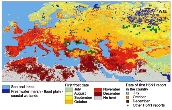 Map showing the spread of highly pathogenic avian influenza (HPAI) H5N1 virus and its environmental context. The background color indicates the month when the first frost was observed, from July through December 2005. The distribution of the main wetlands is indicated (dark blue; west Siberian lowland [WSL]). The reported presence of HPAI H5N1 virus from July 2005 to January 16, 2006, is indicated by squares with color coding for the first report of HPAI H5N1 virus in the country, and by green d