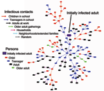 Thumbnail of Initial growth of an infectious contact network. Colored rectangles denote persons of designated age class, and colored arrows denote groups within which the infectious transmission takes place. In this example, from the adult initial seed (large purple rectangle), 2 household contacts (light purple arrows) bring influenza to the middle or high school (blue arrows) where it spreads to other teenagers. Teenagers then spread influenza to children in households who spread it to other c