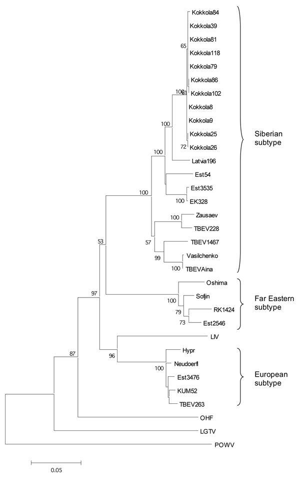 Maximum likelihood phylogenetic tree of partial E gene (1,076 nt). The bar below indicates the nucleotide substitutions per site. The accession nos. of the strains used can be seen in Table 2. The bootstrap support values &lt;50 are not shown.