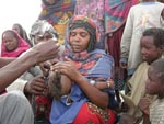 Thumbnail of Polio vaccination of a nomadic child in Chad. While children and woman in the camp received vaccinations by public health workers, the livestock in the camp received vaccinations by veterinarians. Source: Project Santé des Nomades au Tchad.