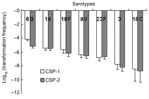 Competence (transformation frequency) induced by competence-stimulating peptide 1 (CSP-1) and CSP-2 in clinical isolates.