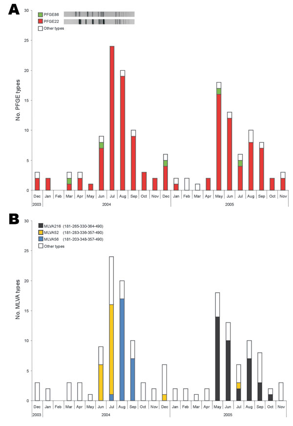 Monthly occurrence of pulsed-field gel electrophoresis (PFGE) types (A) and multiple-locus variable-number tandem-repeat analysis (MLVA) types (B) within Salmonella Typhimurium isolates with phage type DT12 over the 2-year study period. All PFGE and MLVA types that occurred &lt;4× were included in other types.