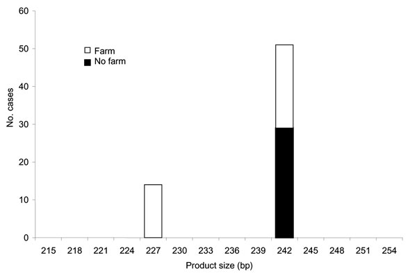 Product size at microsatellite locus ML1 with number of Cryptosporidium parvum case-patients who touched or handled farm animals before onset of illness.