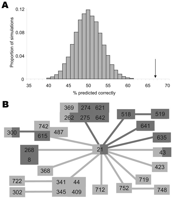 Prediction of source of origin within the sequence type ST-21 complex. A) Observed accuracy of prediction (arrow) compared with distribution of values obtained by permuting host labels so that the alleles varying from central genotype are not informative on host of origin. B) Prediction of origin by using only alleles for which substantial reference information is available. Light lines indicate alleles different from ST-21 present mainly in chickens in the reference population (i.e., an allele