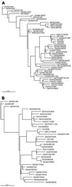 Thumbnail of Phylogenetic relationships of representative H5N1 influenza virus strains and patient and animal cage isolates (indicated by asterisks) used in this study. A) Hemagglutinin gene (nt positions 29–1650). B) Neuramidase gene (nt positions 28–1323). Gs, goose; GD, Guangdong; Ck, chicken; CN, People's Republic of China; Dk, duck; HK, Hong Kong; HB, Hebei; FJ, Fujian; GZ, Guangzhou; ST, Shantou; HN, Hunan; WDK, wild duck; GX, Guangxi; AH, Anhui; Qa, quail; YN, Yunnan; BH Gs, brown-headed 