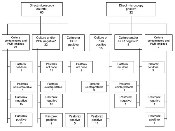 Schematic representation of results of culture or PCR performed on 82 cerebrospinal fluid samples with doubtful or positive direct microscopic results. See text for definitions of doubtful and positive direct microscopic results. *With the other result contaminated (culture) or inhibited (PCR).