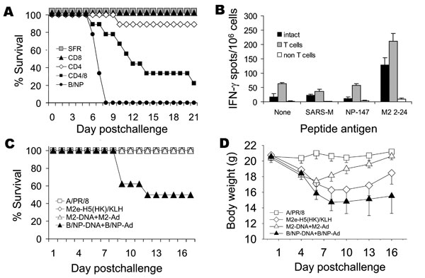 Role of T- and B-cell immunity in matrix protein 2 (M2)–specific protective immunity. A) Mice (9 per group) were immunized with M2-DNA or B/NP-DNA and boosted with matched adenovirus (Ad) as described in Methods. Three weeks after Ad boost, M2-DNA groups were acutely depleted of T cells with monoclonal antibodies (MAbs) to CD4+ or CD8+ or both, or given control MAb SFR3-DR5, as described in Methods. Mice were challenged with 1.5× 104 50% lethal doses (LD50) of A/PR/8. Compared with the cumulativ