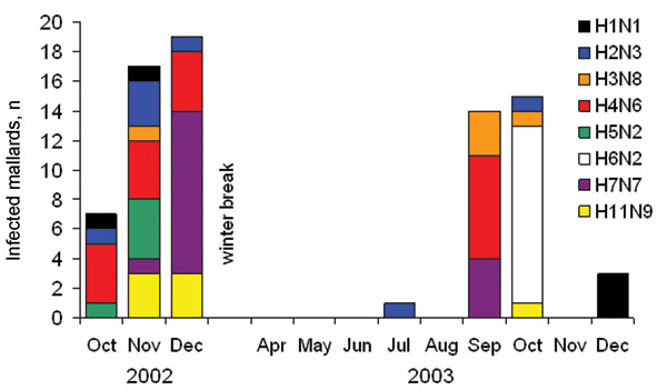 Occurrences of the most common influenza A virus subtype combinations (≥5 isolates) in mallards over time.