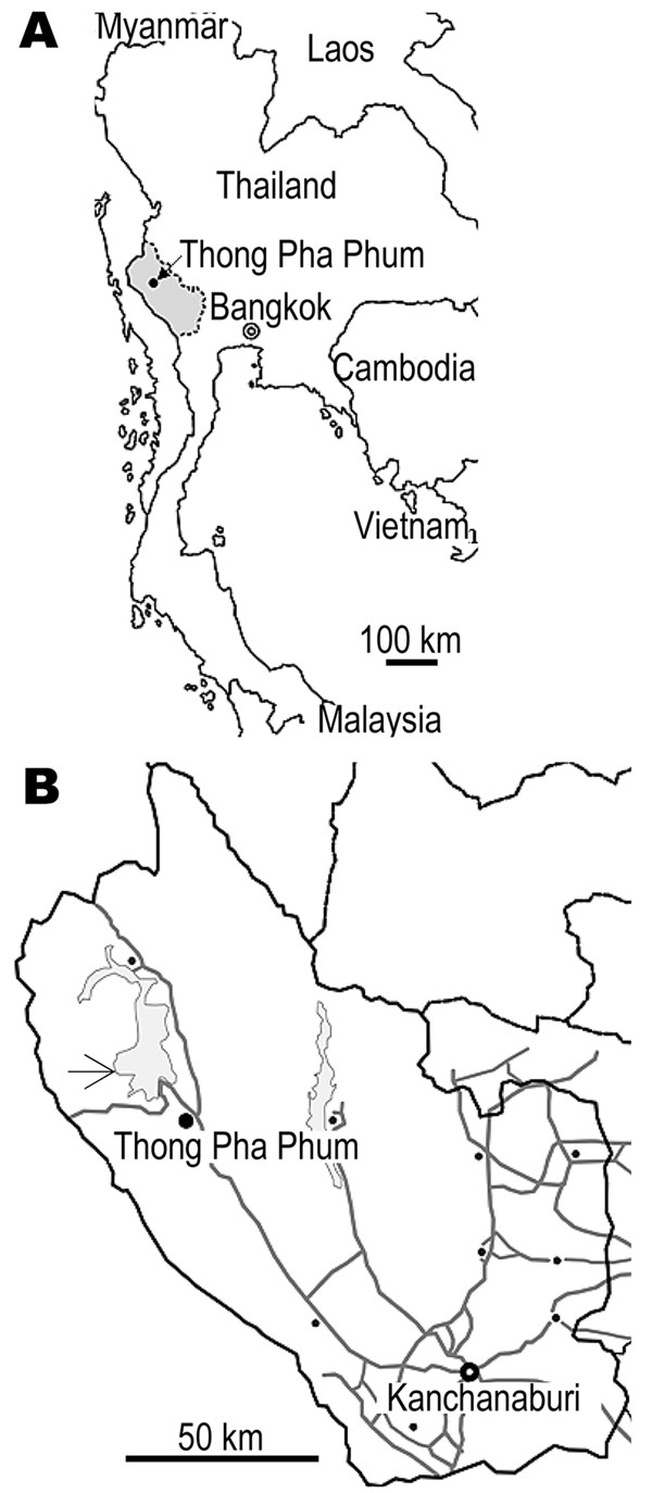 A) Map of Thailand showing Kanchanaburi Province (shaded area). B) The study area in Thong Pha Phum District (arrow).