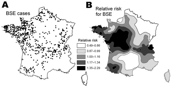 Location of the 629 bovine spongiform encephalopathy (BSE) cases under study (A) and disease mapping of the relative risk for BSE compared with the average national risk (B). For improved legibility, map B was smoothed using a spatial interpolation of the relative risk for BSE in the delivery areas.