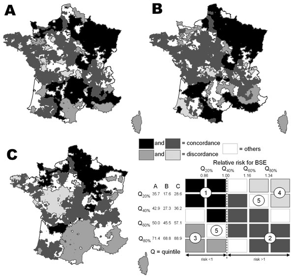 Mapping of the crude link between the relative risk for bovine spongiform encephalopathy (BSE) and the exposure to meat-and-bone meal (A), animal fat (B), and animal dicalcium phosphate (C). In the left part of the key are the limits of the quintiles for each type of exposure (expressed in percent of factories using the byproduct). In the rest of the key, for each type of exposure, groups 1 and 2 represent a concordant relationship between the relative risk for BSE and each type of exposure (hig