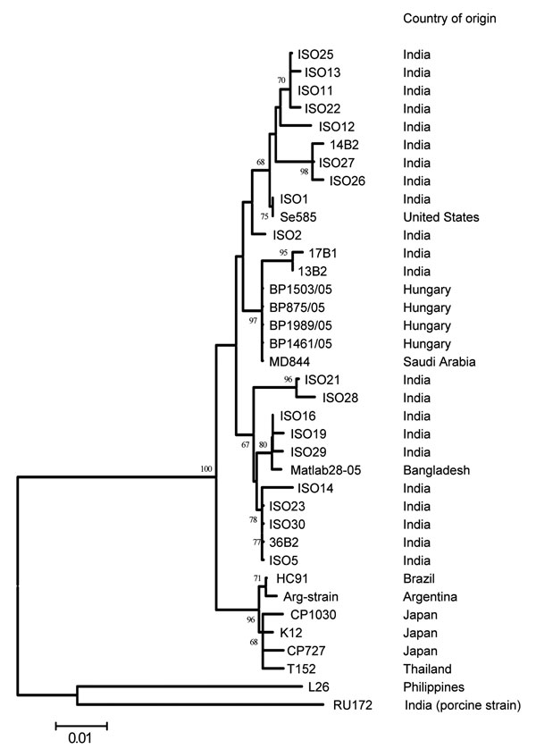 Phylogenetic relationship among Hungarian and other G12 rotaviruses. The tree was generated by the neighbor-joining algorithm by using a 501-nt fragment of VP7 (nt 79–579). Scale bar represents the nucleotide distance. Bootstrap values &gt;60% are shown in the branch nodes. The country of origin is shown parallel to the strain names. ARG strain is an unnamed G12 isolate from Argentina.