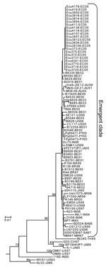 Thumbnail of Maximum likelihood phylogenetic tree constructed from VP7 nucleotide sequences of G9 genotype rotavirus isolates. Taxa included are the 22 sequences from the current study and 65 sequences obtained from GenBank that represent global G9 rotavirus diversity. Taxa labels indicate isolate name followed by the country and year of collection. Country abbreviations: AU, Australia; BA, Bangladesh; BE, Belgium; BR, Brazil; CH, China; EC, Ecuador; IN, India; JA, Japan; MW, Malawi; PY, Paraguay; SA, Republic of South Africa; TH, Thailand; US, United States. GenBank accession nos. for the diversity isolates: SP2737VP7 (AB091752), MG9-06 (AY307085), Melb-G9.21 (AY307090), Melb-G9.12 (AY307088), EM41 (AJ491170), DL73 (AJ491165), Se121 (AJ491192), CC117 (AJ491153), In826 (AJ491173), At694 (AJ491159), 95H115 (AB045373), Ph158 (AJ491183), BD524 (AJ250543), INL1 (AJ250277), US1205 (AF060487), US1212 (AJ250272), MW47 (AJ250544), 50001DB (AF529864), N23 (AJ491177), BP7 (AJ491161), R146 (AF274970), DV38 (AJ491168), NE413 (AJ491178), EM39 (AJ491169), R136 (AF438228), Om526 (AJ491182), R44 (AF438227), R160 (AF274971), MC345 (D38055), T203 (AY003871), K1 (AB045374), SP1904VP7 (AB091754), Om46 (AJ491181), Om67 (AJ491179), AU32 (AB045372), 116E (L14072), WI61 (AB180969), Ush1575 (AF323711), LP1550 (AF323717), Py00471 (DQ015691), Py00473 (DQ015692), Py00477 (DQ015693). The 22 Belgian isolates were selected from the GenBank PopSet AY487853–AY487895. Bootstrap values &gt;70 are shown on internal branches. The tree was rooted with the VP7 sequence of a G3 genotype rotavirus (AY740736).