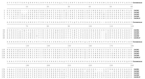 Amino acid sequence alignment of the central regions from the novel insertion element common region (ISCR) elements, ISCR9 and ISCR10. These sequences are aligned with ISCR2 and ISCR3, also found within this study, and ISCR. A consensus sequence is provided in the line above each alignment and numbering reading left to right.