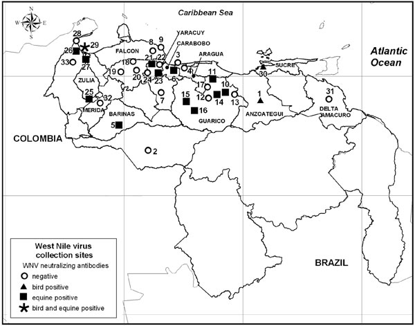 Collection sites for West Nile virus (WNV) in Venezuela. Symbols represent results of tests for specific antibodies to WNV in serum samples of birds and horses (viral titers in a 90% plaque reduction neutralization test &gt;40 and a 4-fold differential inhibition in a neutralization assay to WNV compared with other related flaviviruses). Source: Instituto Geográfico de Venezuela Simón Bolivar, Caracas, Venezuela.
