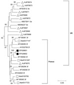 Thumbnail of Outline of phylogenetic tree (complete figure available online, http://www.cdc.gov/EID/13/4/zzz-T.htm) constructed by the neighbor-joining method on the basis of partial nucleotide sequences of the open reading frame (ORF) 2 region of hepatitis E virus (HEV) genome obtained from the blood donor and the blood recipient, with sequences of other local HEV strains previously identified, and published HEV sequences. Local HEV sequences were obtained after reverse transcription–PCR amplification that used SuperScript One-Step RT-PCR System (Invitrogen Life Technologies with in-house protocols that used outer primers HevMrsFwd1: 5’-AATTATGCYCAGTAYCGRGTT-3’, 5663 nt (primer location is defined in reference to GenBank sequence accession no. NC_001434); HevMrsRev1: 5′-CCTTTRTCYTGCTGRGCATTCTC-3’, 6393, then inner primers HEVMrsFwd2 5’-GTWATGCTYTGCATACATGGCT-3’, 5,948 and HevMrs2Rev2: 5’-AGCCGACGAAATCAATTCTGT-3’, 6,295, to obtain a fragment of 347 bp. PCR fragments were purified then directly sequenced by using the inner primers and the Big Dye Terminator cycle sequencing kit version 1.1 on ABI Prism 3130 genetic analyzer (Applied Biosystems, Branchburg, NJ, USA). HEV genotype was determined by using phylogenetic analysis with a set of published HEV sequences (genotype and subtype are indicated with the GenBank accession no.) (8). Bootstrap values are indicated when &gt;50% as a percentage obtained from 100 resamplings of the data. HEV sequences from the blood donor and recipient (indicated by black squares) have been submitted to GenBank (accession nos. EF028801 and EF028802); white squares indicate HEV sequences from other individuals with hepatitis E living in Marseille and its geographic area. Black inverted triangles indicate sequences involved in transfusion-transmitted hepatitis E cases in Japan (Japan A [9]); white inverted triangles indicate other Japanese HEV sequences from the same geographic area (Japan A [9]). White triangles indicate HEV sequences from the United Kingdom (3) that have an 80%–100% homology at the nucleotide level with those obtained by Boxall et al. (7). White circles indicate sequences from patients living in Hokkaido, Japan (Japan B; [8]); ORF 1 sequences from these strains were very similar to those characterized in a transfusion-transmitted hepatitis E case that occurred in Hokkaido.