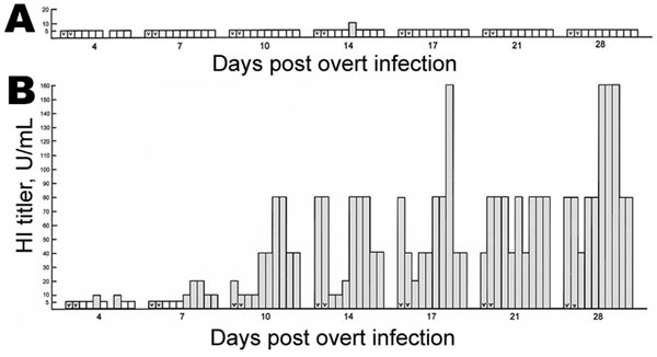 Seroconversion in sentinel specific-pathogen-free white leghorns after natural infection with influenza A/CK/CT/72/03 (H7N2) from overtly infected birds as quantified by hemagglutination inhibition (HI) tests for hemagglutinin (HA) antigen. The titer in HI U/mL is plotted as a function of days post overt infection of 2 birds in each group. The key is similar to that of Figure 1, except the assay is for HI. A, water only; B, water plus recombinant chicken interferon-α at 2,000 U/mL. Results of 1 trial are shown; 2 other trials gave similar results.