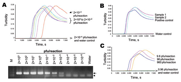 Detection of influenza (H5) virus by loop-mediated isothermal amplification (LAMP). A) Serially diluted RNA from A/Vietnam/1203/2004 was tested by the reverse transcription (RT)–LAMP (upper panel) and RT-PCR (lower panel) assays. The viral titers used in these reactions are indicated. Viral RNA was extracted by using the QIAamp Viral RNA Mini Kit (QIAGEN, Valencia, CA, USA) according to the manufacturer’s instructions. For a typical 25-μL reaction, 2 μL of sample was mixed with 2× in-house reaction buffer (40 mmol/L Tris-HCl, pH 8.8; 20 mmol/L KCl; 16 mmol/L MgSO4; 20 mmol/L [NH4]2SO4; 0.2% Tween 20 [v/v]; 1.6 mol/L betaine; 2.8 mmol/L each dNTP), 50 U Bst DNA polymerase (New England Biolabs, Ipswitch, MA, USA), 8 U avian myeloblastosis virus reverse transcriptase (Invitrogen, Gaithersburg, MD, USA), 40 pmol/L primers FIP and BIP, 20 pmol/L primers LPF and LPR, and 5 pmol/L primers F3 and B3. Reaction mixtures were incubated at 60ºC for 120 min, and the turbidity of these reactions was examined by use of a turbidity meter (LA-200, Treamecs; Kyoto, Japan) in real time. The turbidities of these reactions 5–20 min after incubation were taken as the baseline. The threshold value for a positive reaction was set to be 10× above the standard deviation of the baseline. For the H5-specific RT-PCR assay, primers H5-1 (5′-GCCATTCCACAACATACACCC-3′) and H5-3 (5′-CTCCCCTGCTCATTGCTATG-3′) were used according to the protocol optimized by the World Health Organization H5 Reference Laboratory Network (7). Positive (219 bp) and nonspecific products from the PCR reaction are highlighted by the arrow and arrowhead, respectively. B) Detection of H5 virus in postmortem lung tissues from a patient with influenza (H5). Signals from the tested samples, positive control, and water control are indicated. C) Direct detection of influenza (H5) viruses from culture supernatants. Heat-treated supernatant from cells infected with A/Vietnam/1203/2004 were serially diluted and directly used as input in the LAMP assay. The plaque-forming units (pfu) of influenza (H5) virus in these reactions are shown.