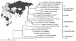 Thumbnail of Global distribution and phylogenetic relationships of Crimean-Congo hemorrhagic fever virus (CCHFV) strains selected for design and validation of the assay. All strains except those marked with asterisks were tested. Phylogenetic analysis was based on available 450-bp sequences (from the National Center for Biotechnology Information) of CCHFV small (S-) segment and generated by the neighbor-joining method with TreeCon for Windows (version 1.3b; Yves van de Peer, University Konstanz, Germany). Nomenclature of CCHFV clades is based on (7). Note that group VII can be resolved only when analyzing the M-segment, not the s-segment as shown here. *These CCHFV strains are shown for reference, but they were not available for testing. **This strain was not available; however, strain Kosovo, which is almost identical, was tested instead. ***Strain AP92 has also not been available for testing. It was isolated from a Rhipicephalus bursa tick and has never been associated with human disease.