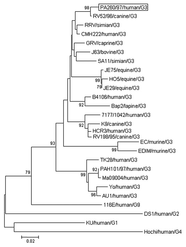 Phylogenetic analysis of deduced amino acid sequence derived from VP7 gene of the PA260/97 human rotavirus strain and other G3 rotavirus genotypes. The tree was generated by the neighbor-joining method using the ClustalW program (http://dambe.bio.uottawa.ca/dambe.asp). Scale bar indicates nucleotide substitutions (×100).