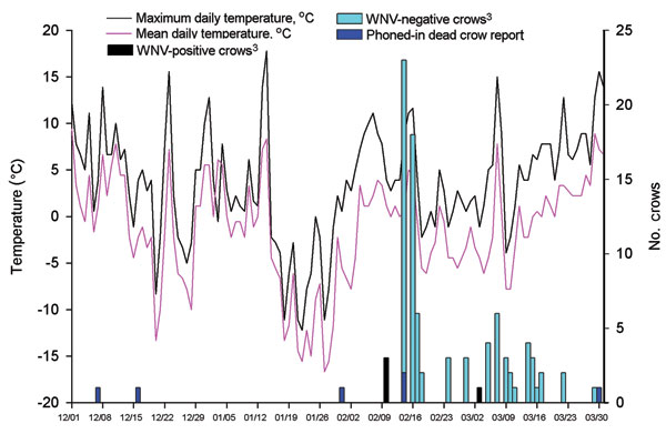 Crow deaths associated with West Nile virus (WNV) infection and maximum and mean temperatures for Poughkeepsie, New York, USA (December 1, 2004–March 31, 2005). Roost area was checked for crow carcasses at least every 48 hours after February 10, 2005. Temperature data were obtained from National Oceanic and Atmospheric Administration, Silver Spring, Maryland, USA. All 98 crow carcasses were tested for WNV by reverse transcription–PCR (RT-PCR) (2), VecTest, and Rapid Analyte Measurement Platform (3,4). Twelve were positive by all 3 tests; 1 crow collected on March 7, 2005, was positive by RT-PCR only.
