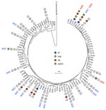 Thumbnail of Horizontal transfer events of virulence genes and conjugative transposon Tn916 with tetM in Streptococcus suis sequence types. The rooted maximum-parsimony tree was based on the concatenated sequences of 7 housekeeping genes used for multilocus sequence typing analysis of S. suis by using S. pneumoniae R6 as the outgroup. Virulence genes acquired by strains of various sequence types were from this study and other published papers. The colored labels indicate positive detection; uncolored labels indicate negative results for the virulence gene; no label indicates that the strain was not available for testing. The scale bar indicates a branch length corresponding to 100 character-state changes.