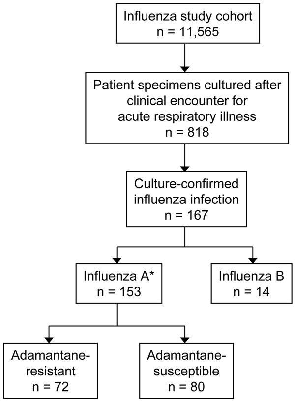 Results of patient recruitment and influenza cultures. *One isolate was not characterized.