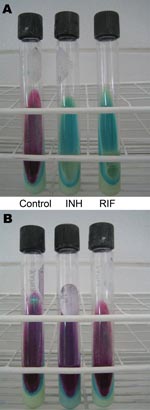 Thumbnail of Description and costs of the direct Griess method in Peru. A) Pan-susceptible Mycobacterium tuberculosis isolate. B) M. tuberculosis isolate resistant to isoniazid (INH) and rifampin (RIF). The left (control) tube in panel A and all tubes in panel B indicate mycobacterial growth. The costs of the test are US $5.30 per sample, including personnel, materials (items that can be reused), and supplies (reagents and consumable items), and US $4.80 per sample, including materials and supplies.