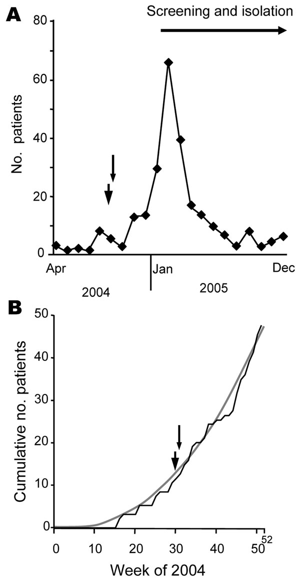Course of vancomycin-resistant enterococci (VRE) outbreak at a German university hospital and time point (arrowhead, 30th calendar week; arrow, 31st calendar week) when outbreak alert could have been given. A) Number of VRE-carrying patients treated in a university hospital in 2004 and 2005. Given is the number of patients who were identified for the first time within a certain month (incident cases). In 2004 the first VRE patient was discovered in April 2005. B) Sum of VRE-exhibiting patients (cumulative number of patients [incident cases]) within distinct calendar weeks in 2004 (black line). Trend line (gray line) indicates exponential increase of numbers of incident cases (y = 0.002, χ2 – 0.3497 × 1.0299 [R2 = 0.9918]).