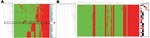 Thumbnail of A) Meta-analysis of the amplified fragment length polymorphism data obtained for the pig-associated methicillin-resistant Staphylococcus aureus sequence type 398 (ST398 MRSA) and its closely related methicillin-susceptible S. aureus (MSSA) strains, carriage MSSA isolates from healthy children and elderly persons, invasive MSSA from hospitalized children and elderly persons, and invasive animal S. aureus isolates (including 2 MRSA isolates) (10,11). Green and red represent 161,700 binary outcomes generated by high throughput restriction fragment length polymorphism with 147 marker fragments. Marker absence corresponds with green, marker presence corresponds with red, and gray represents ambiguous positions (i.e., weak bands), scored as marker absence in the mathematical analyses. ST398 MRSA strains are boxed. The dendrogram on the left shows the phylogenetic strain clustering; the dendrogram on the x-axis shows marker clustering. Marker groups are cluster specific. Markers on the right are defined as follows: blue, carriage isolates (n = 829); black, bacteremia isolates (n = 146); yellow, animal isolates (n = 77); red, ST398 MRSA isolates (n = 46); pink, reference strains (Mu50/N315). B) Detail highlighting the ST398 isolates. Markers and lanes on the right are defined as follows: black, carriage isolate; red, clinical isolate; 1, ST398 MRSA isolated from humans; 2, ST398 MRSA isolated from pigs; 3, ST398 MSSA human carriage isolates; 4, ST398 MSSA human bacteremia isolates; 5, ST398 MSSA animal clinical isolate.