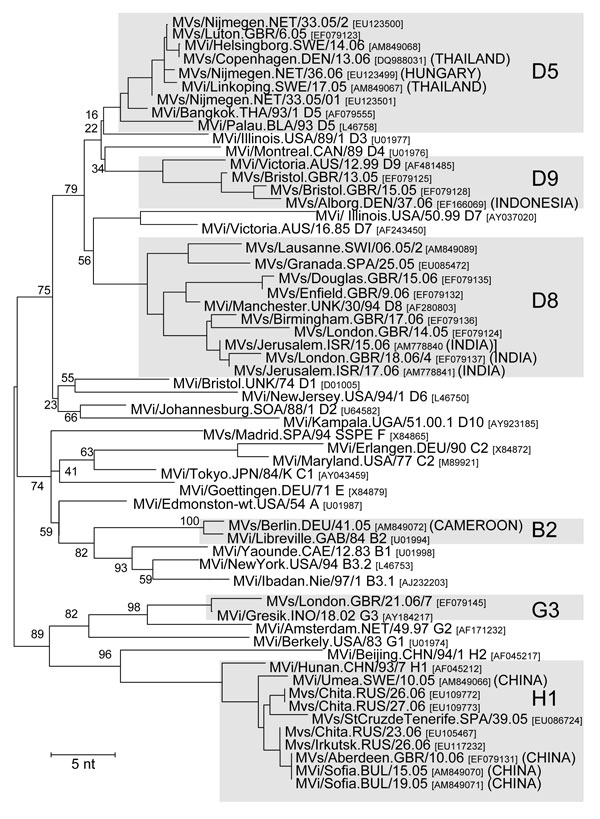 Phylogenetic tree of all measles virus (MV) variants that were identified in Europe during 2005–2006 and that belonged to genotypes other than D4, D6, and B3. Confirmed importations from other continents are shown in brackets. Reference strains of all known MV genotypes were also included. Tree calculation and MV nomenclature are as delineated in Figure 1.