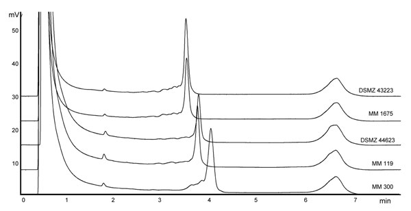Denaturating high-performance liquid chromatography profiles after separation of PCR-amplified internal transcribed spacer regions of Mycobacterium spp. Strain designations from above: DSMZ 43223, M. intracellulare, sequevar MIN-A type strain; MM 1675, M. intracellulare, sequevar MIN-A, patient strain; DSMZ 44623, M. chimaera sp. nov., sequevar MAC-A type strain; MM 119; M. chimaera sp. nov., sequevar MAC-A, patient strain; MM 300, M. intracellulare, sequevar MIN-C, patient strain.