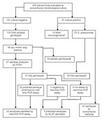 Thumbnail of Microbiologic characteristics of pleural fluid (PF) specimens from pediatric parapneumonic empyema (PPE) case-patients. *Streptococcus pyogenes (6), Staphylococcus aureus (3), Mycobacterium tuberculosis (2), Escherichia coli (1), Streptococcus mitis (1), Peptostreptococcus spp. (1). †Pleural fluids analyzed by PCR included 2 samples that were ply negative but wzg positive. ‡18 partially genotyped by multilocus sequence typing (MLST) (&gt;3 alleles), as DNA concentration was too low for reliable PCR amplification and sequencing.