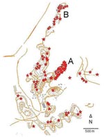 Thumbnail of Geographic distribution of cutaneous leishmaniasis cases in Ma'ale Adumim, Israel, 2004–2005. Each star represents 1 case. In dense areas, some marks may be missing because of technical limitations. Wilderness ravines (white areas) reach within meters of houses at the periphery of the neighborhood in all directions. A and B indicate neighborhoods with the highest incidence rates.