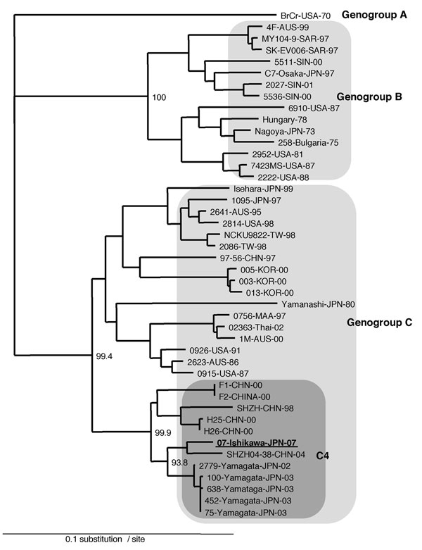Phylogenetic analysis of EV71 based on the entire VP1 sequences. The tree was prepared by the neighbor-joining method by using the EV71 strains in the world as described previously (6) and newly identified subgenogroup C4 strains (7,8) were also included in the analysis.
