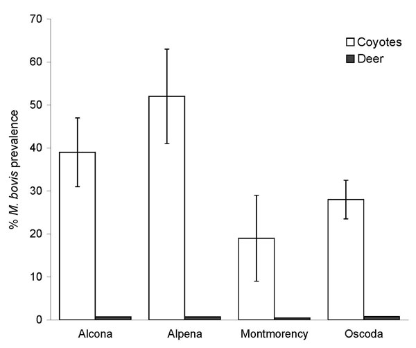 Percent prevalence of Mycobacterium bovis–positive coyotes (Canis latrans) and white-tailed deer (Odocoileus virginianus) in Montmorency, Alpena, Alcona, and Oscoda Counties, Michigan, 2003–2005. Prevalence estimates for white-tailed deer are expressed as a mean calculated from discrete sampling periods conducted in 2003, 2004, and 2005. Error bars for coyote estimates represent the standard error of the mean calculated across townships for each county. Estimates of M. bovis prevalence for white-tailed deer were not available for individual townships; standard errors were not calculated for counties.