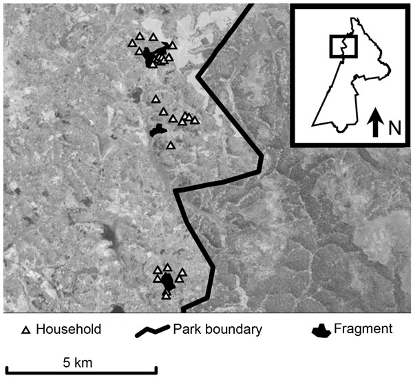 Map of study area within Kibale National Park, western Uganda (box) and forest fragments and households included in the study. Fragments are (from north to south) Kiko 1, Bugembe, Rurama (see Table 1 for details). Households, park boundary, and fragments are superimposed on a Landsat satellite image (30-m resolution).