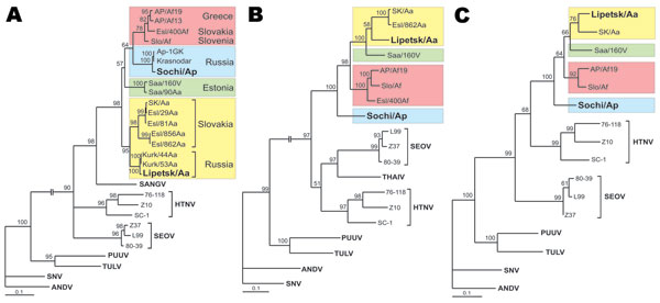 Maximum-likelihood phylogenetic trees of Dobrava-Belgrade virus (DOBV), showing the phylogenetic placement of novel Russian isolates Sochi/Ap and Lipetsk/Aa (in boldface) based on A) complete S-segment open reading frame (ORF) (nucleotide sequence positions 36–1325), B) complete M-segment ORF (nt positions 41–3445), and C) partial L-segment sequences (374 nt, positions 157–530). Different DOBV lineages are marked by colored boxes: yellow, DOBV-Aa; green, Saaremaa; red, DOBV-Af; blue, DOBV-Ap (Sochi virus). The Sochi/Ap and Lipetsk/Aa S-, M-, and L-segment sequences were deposited in GenBank under accession nos. EU188449–EU188454. The trees were computed with the TREE-PUZZLE package by using the Tamura Nei evolutionary model. The values at the tree branches are the PUZZLE support values. The scale bar indicates an evolutionary distance of 0.1 substitutions per position in the sequence. SANGV, Sangassou virus; HTNV, Hantaan virus; SEOV, Seoul virus; PUUV, Puumala virus; TULV, Tula virus; SNV, Sin Nombre virus, ANDV, Andes virus; THAIV, Thailand hantavirus.