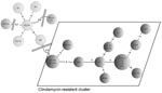 Thumbnail of Minimal spanning tree of 23 Clostridium difficile isolates. In the circles, the individual isolates are mentioned. The numbers between the circles represent the summed tandem repeat differences (STRDs) between multiple-locus variable-number tandem-repeat analysis types. Straight lines represent single-locus variants, dashed lines double-locus variants. Curved lines represent triple-locus variants. Two related clusters can be discriminated: the light gray cluster (isolates B1, B4, M246, B6, and M216) and the cluster within dotted lines (isolates V6–44, V6–142, V6–81, 1ML, C1, 4108, V6–35, V6–80, L1, 2191cc, C4, C8, 3ML, C44, C37, and 13ML) The isolates in the light gray cluster are sensitive to clindamycin; isolates in the cluster surrounded by dashed lines are resistant. Two isolates (M278 and R20291) did not belong to a cluster but were more related to the sensitive cluster than to the resistant cluster. Genetically related clusters were defined by an STRD &lt;10.